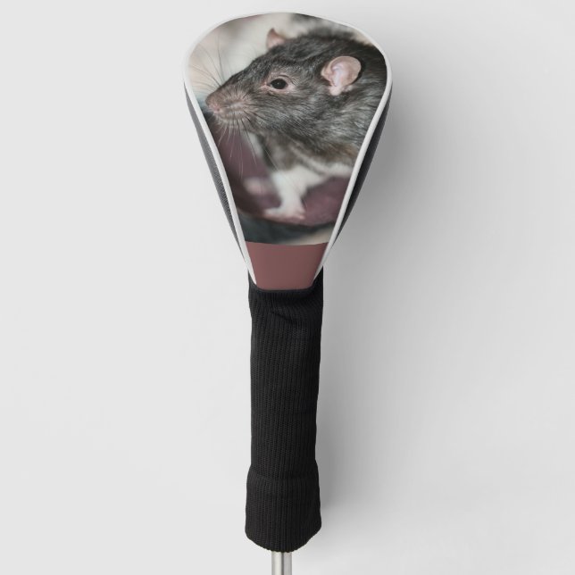 Rat Golf Headcover (Vorderseite)