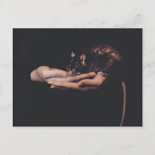 Rat in der Hand... Postkarte
