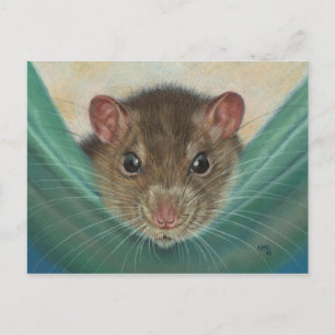 Rat in Hammock Postcard KMCoriginals Postkarte