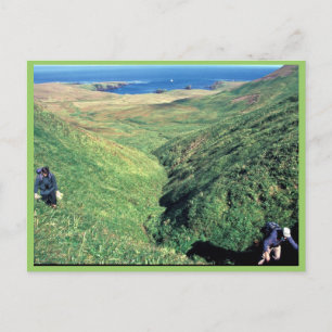 Rat Island, US-Biologe Jeff Williams und Island C Postkarte