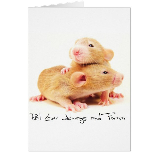 Rat Lover immer und für immer (Vorne)