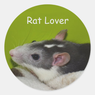Rat Lover Stickers