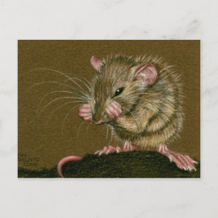 Rat Mad Paws Up Postcard Postkarte