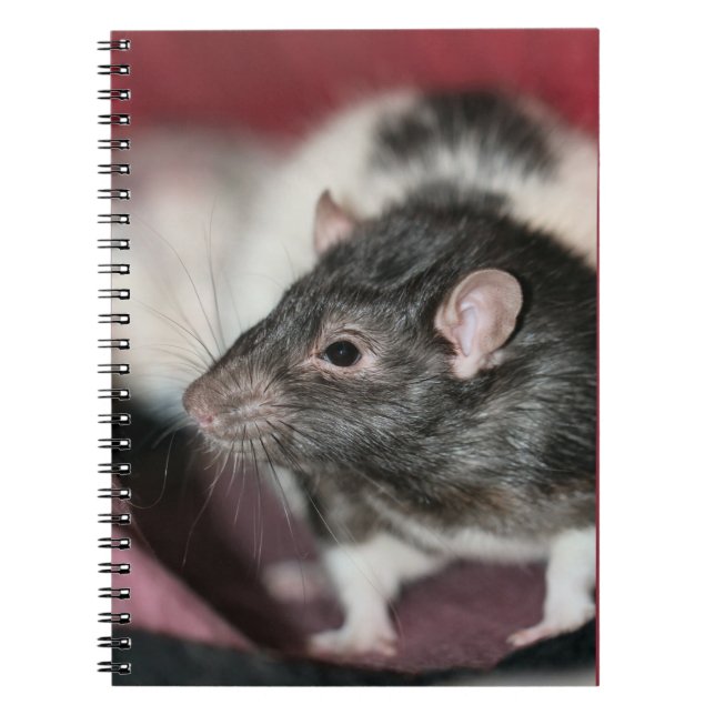 Rat Notizblock (Vorderseite)
