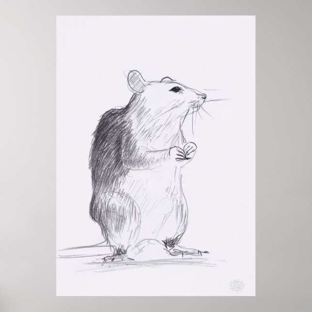 Rat Original Zeichnend 24x36 Poster (Vorne)