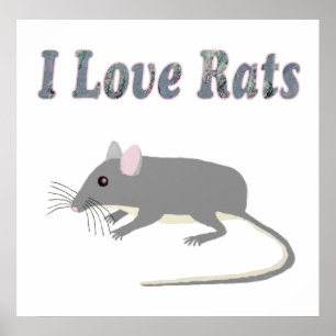Rat Poster