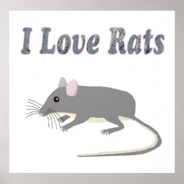Rat Poster (Vorne)