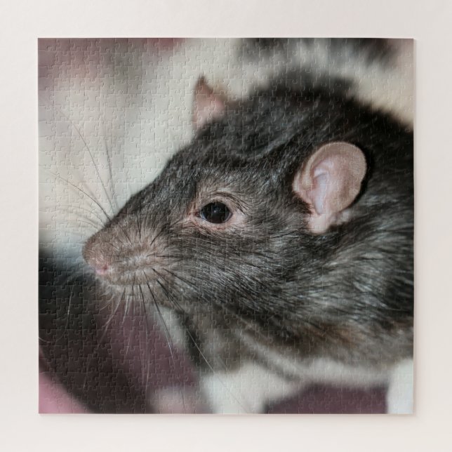 Rat Puzzle (Vertikal)