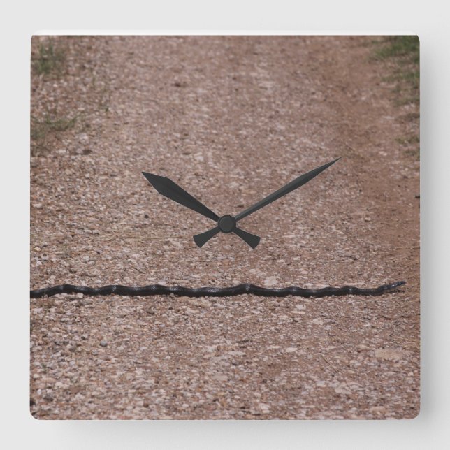 Rat Snake Clock Quadratische Wanduhr (Vorderseite)