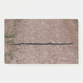 Rat Snake Post-it Klebezettel