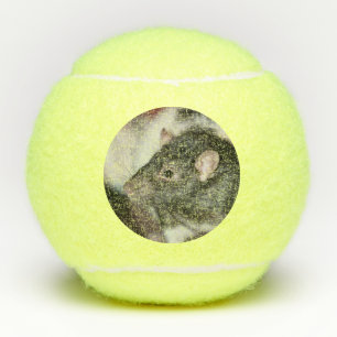 Rat Tennisbälle
