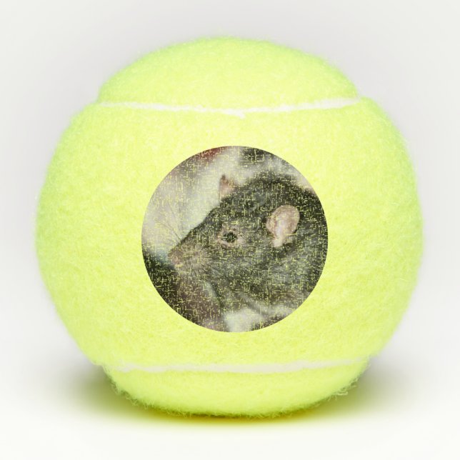 Rat Tennisbälle (Vorderseite)