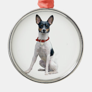 Rat Terrier (A) Ornament Aus Metall