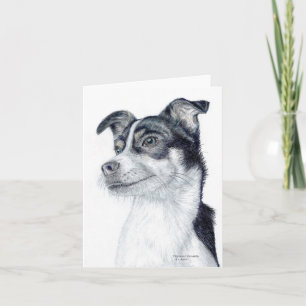 Rat Terrier Blank