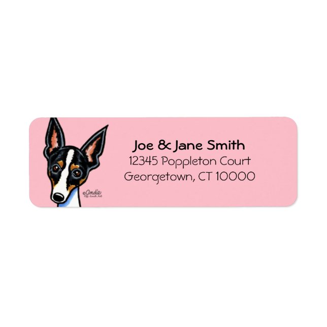 Rat Terrier Custom Color (Vorne)