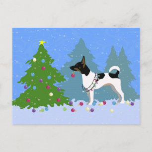 Rat Terrier Dekorieren eines Weihnachtsbaumes im W Feiertagspostkarte