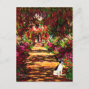 Rat Terrier - Der Weg Postkarte