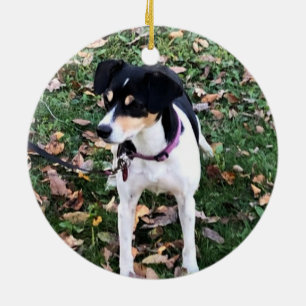 RAT TERRIER DOG CHRISTMAS ORNATION KERAMIK ORNAMENT