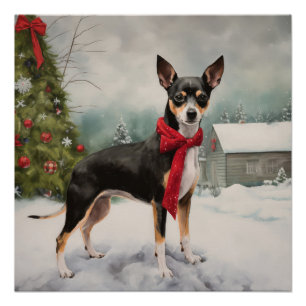 Rat Terrier Dog im Schnee Weihnachten Poster