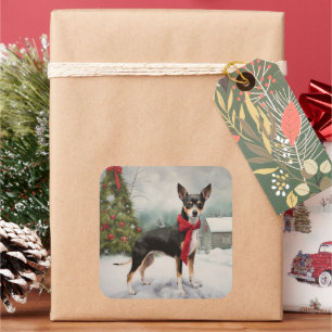 Rat Terrier Dog im Schnee Weihnachten Quadratischer Aufkleber