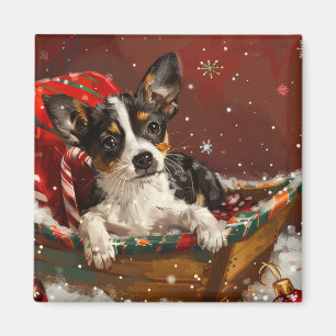 Rat Terrier Dog Weihnachtsfest Magnet
