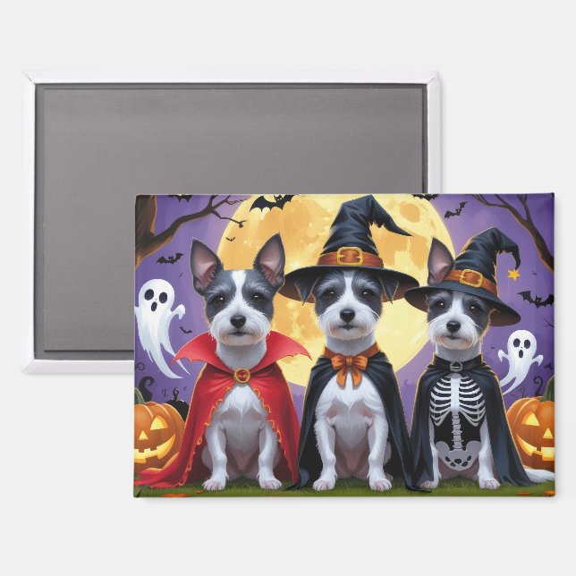 Rat Terrier Dogs Pumpkin Halloween Funny Magnet (Vorderseite/Rückseite)