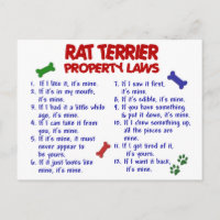 RAT TERRIER-Eigenschaftengesetze 2