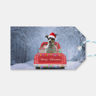 Rat Terrier Hund im Schnee sitzend im Weihnachtswa Geschenkanhänger
