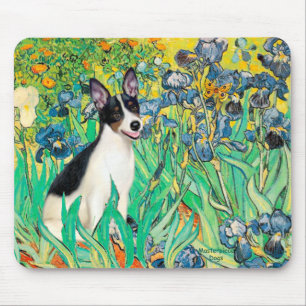 Rat Terrier — Ire Mousepad