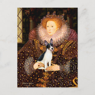 Rat Terrier - Königin Postkarte