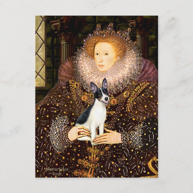 Rat Terrier - Königin Postkarte (Vorderseite)