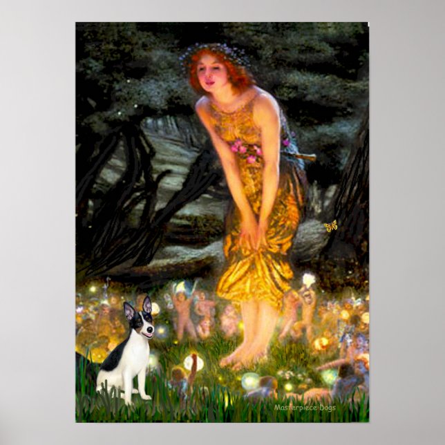 Rat Terrier - MidEve Poster (Vorne)