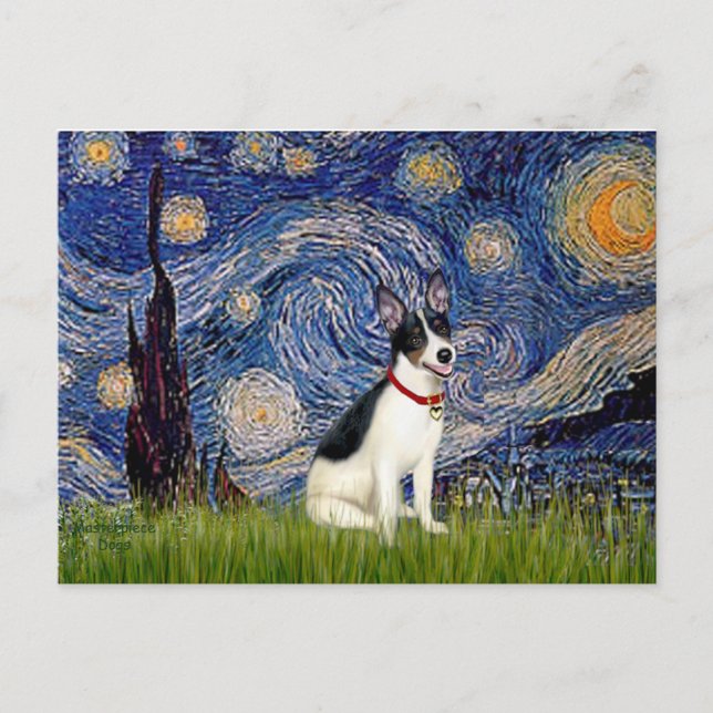 Rat Terrier - Starry Night Postkarte (Vorderseite)