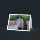 Rat Terrier und Miniatur Pinscher Karte<br><div class="desc">Ratte Terrier und Miniatur Pinscher Grußkarte. Sie können dieses Produkt ganz einfach kostenlos anpassen, wenn Sie Text hinzufügen oder die Farbe des Hintergrunds ändern möchten.</div>