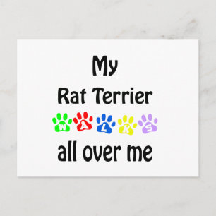 Rat Terrier Walks Design Postkarte