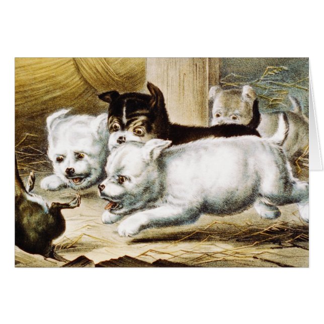 Rat Terrier Welpen - Vintage Kunst (Vorderseite (Horizontal))
