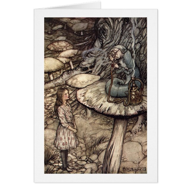 Rat von einer Raupe (Vorne)