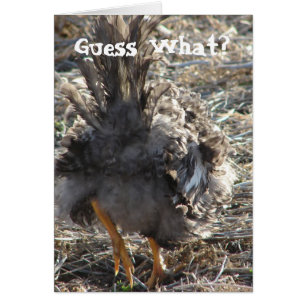 Rate mal was? Hühner-Hintern