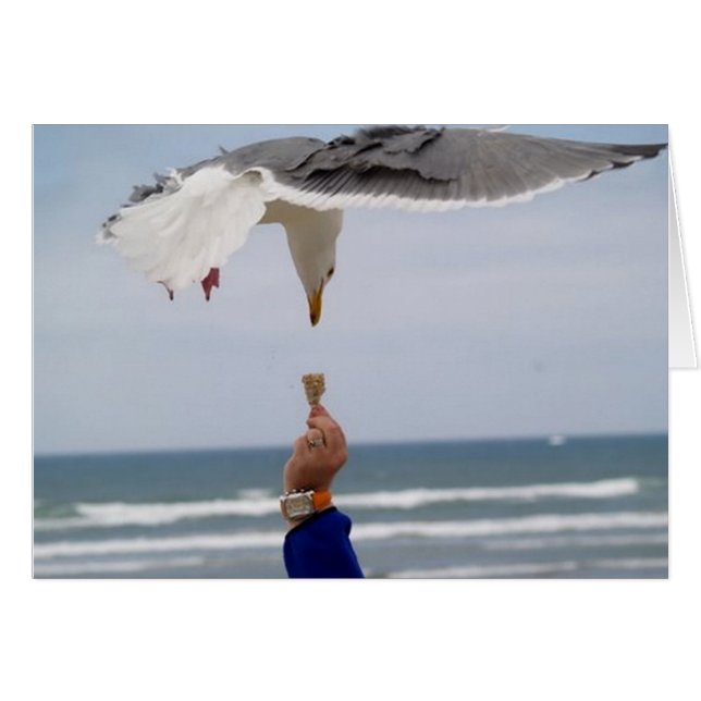 Rate mal, wer zum Abendessen kommt (Vorderseite (Horizontal))