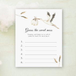 Raten Sie mal, das Sweet Mess - Stork Baby Shower