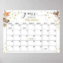 Ratgeber für Baby-Dusche mit Fälligkeitsdatum