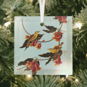 Rathbone's Warbler Song Bird auf der Kreuzung Ornament Aus Glas