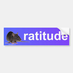 ratitude autoaufkleber