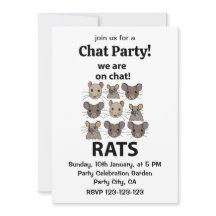 Rats Animal, das wir auf Chat sind Funny Rats
