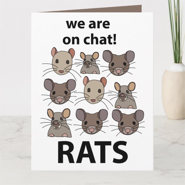 Rats Animal, das wir auf Chat sind Funny Rats Karte (Vorderseite)