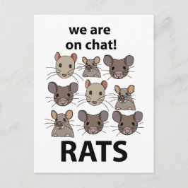 Rats Animal, das wir auf Chat sind Funny Rats Postkarte