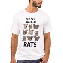 Rats Animal, das wir auf Chat sind Funny Rats