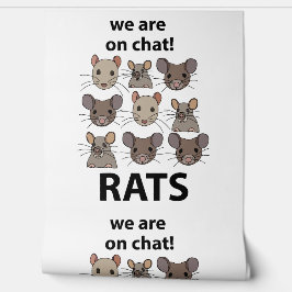 Rats Animal, das wir auf Chat sind Funny Rats Tapete