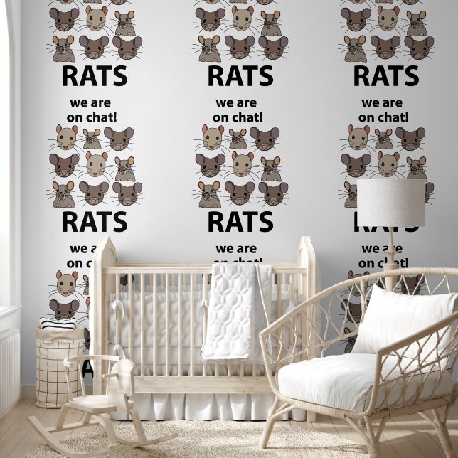 Rats Animal, das wir auf Chat sind Funny Rats Tapete (Kinder)