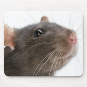 Rats! Mousepad
